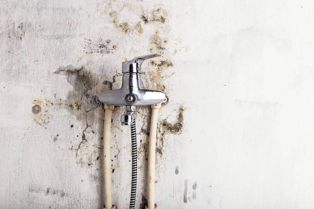 Mold Testing and Removal in Stockton, CA