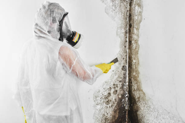 Best Crawl Space Mold Removal  in Stockton, CA