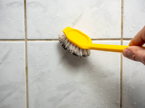 Best Mold Testing  in Stockton, CA