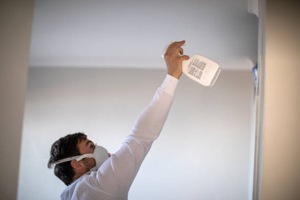 Best Mold Removal and Inspection  in Stockton, CA