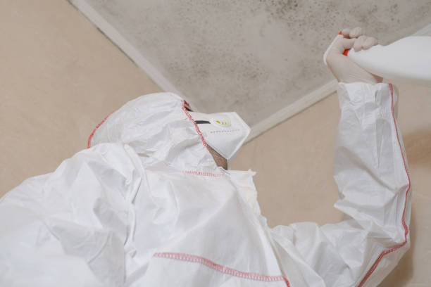 Best Mold Remediation  in Stockton, CA