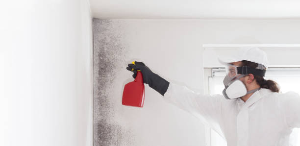 Best Professional Mold Removal  in Stockton, CA