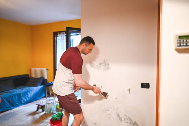 Best Mold Cleaning Services  in Stockton, CA
